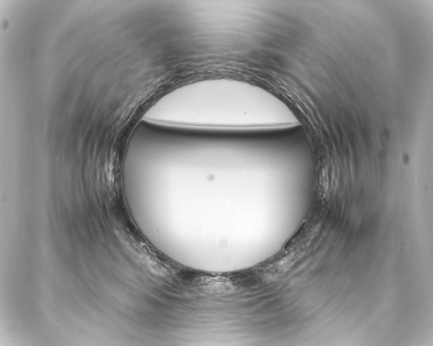 X0000088170424200705150955