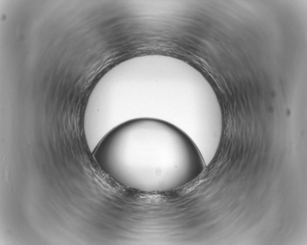 X0000088170428200705150955