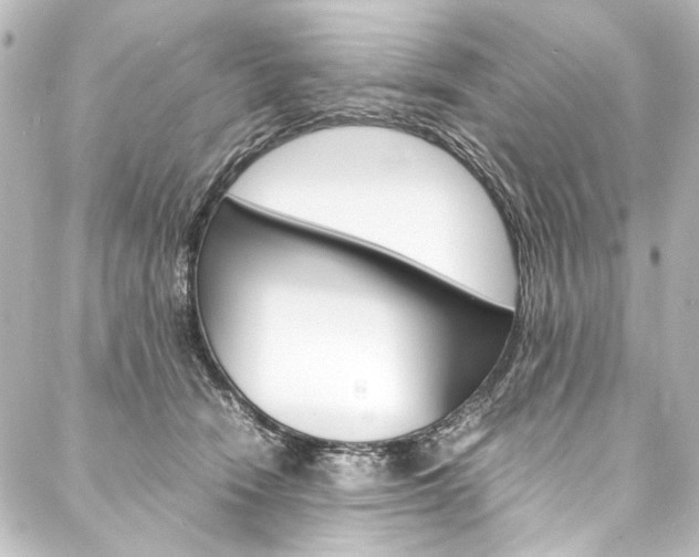 X0000088170466200705150955