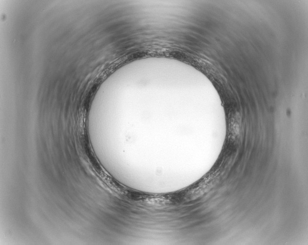 X0000088170468200705150955