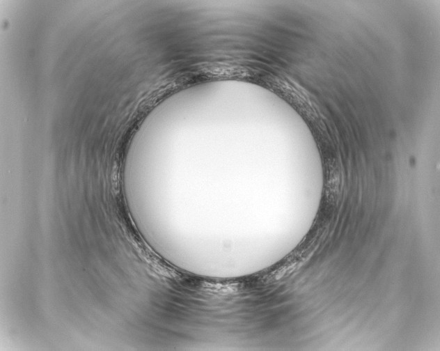 X0000088170469200705150955