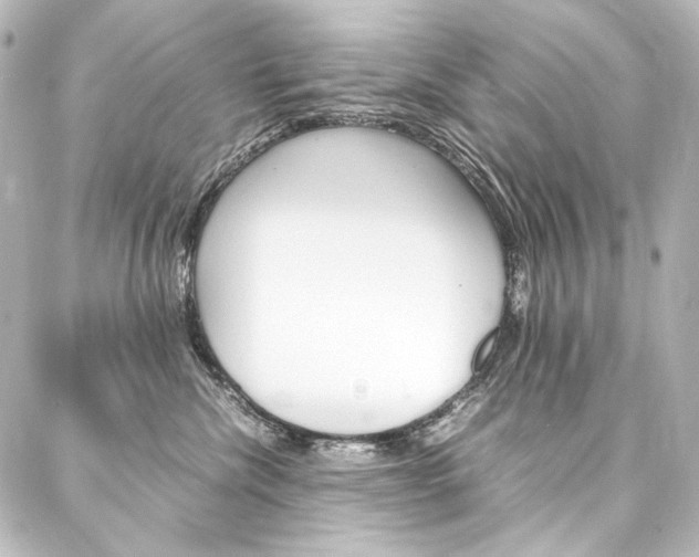 X0000088170476200705150955