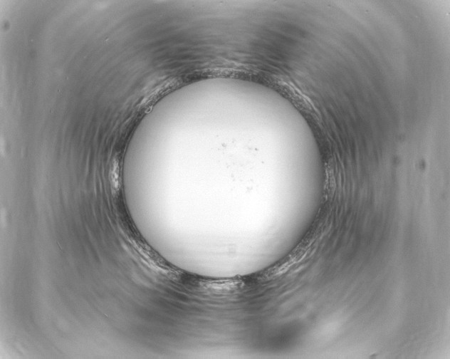 X0000088170479200705150955