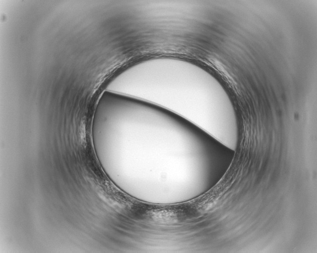 X0000088170500200705150954