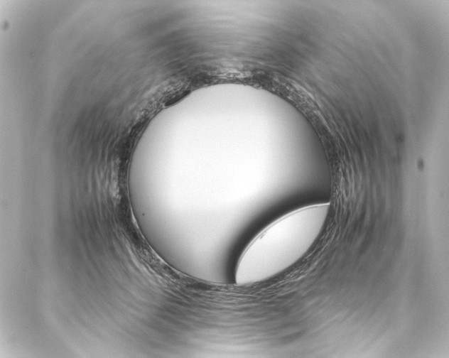 X0000088170512200705150954
