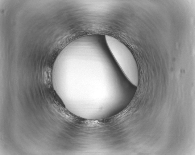 X0000088170528200705150953