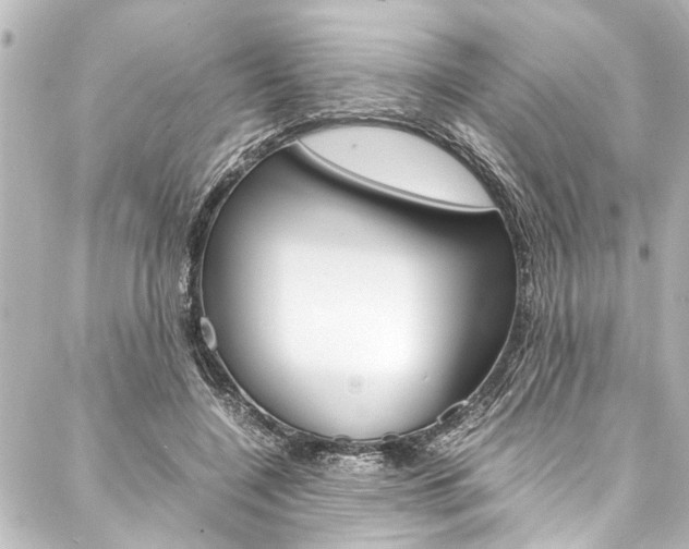 X0000088170548200705150953
