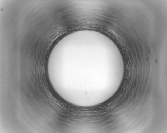 X0000088170556200705150953