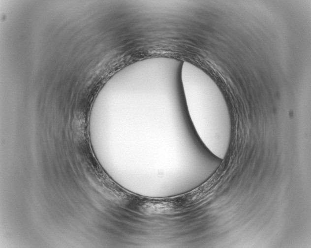 X0000088170557200705150953
