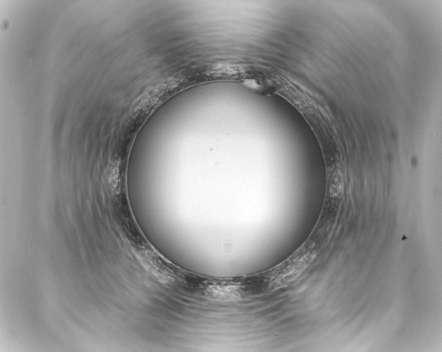 X0000088170560200705150953
