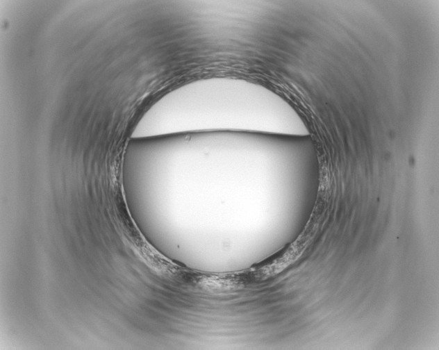 X0000088170568200705150953