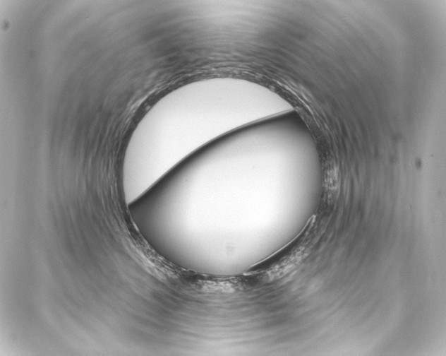 X0000088170572200705150953