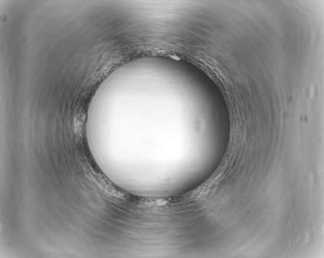 X0000088170576200705150953