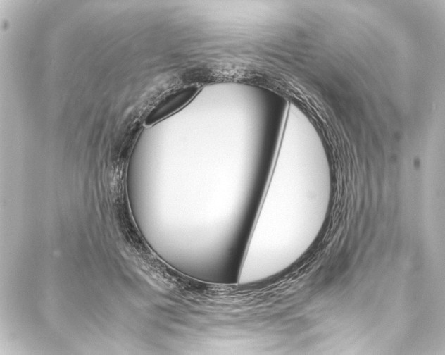 X0000088170601200705150952