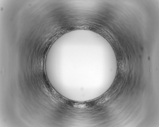 X0000088170602200705150952
