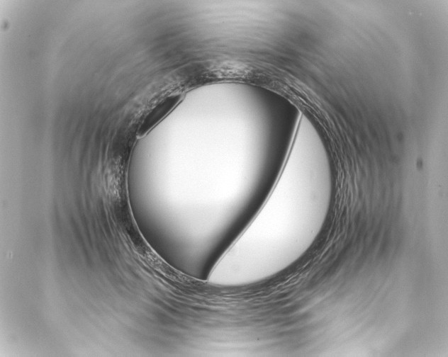 X0000088170604200705150952