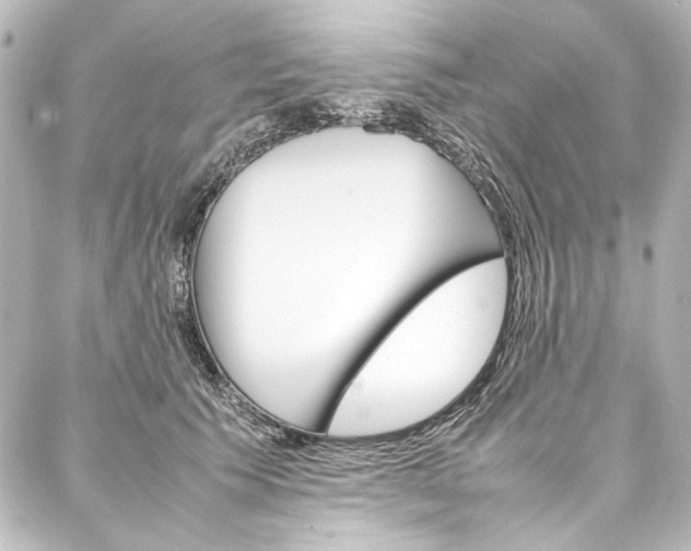 X0000088170609200705150952