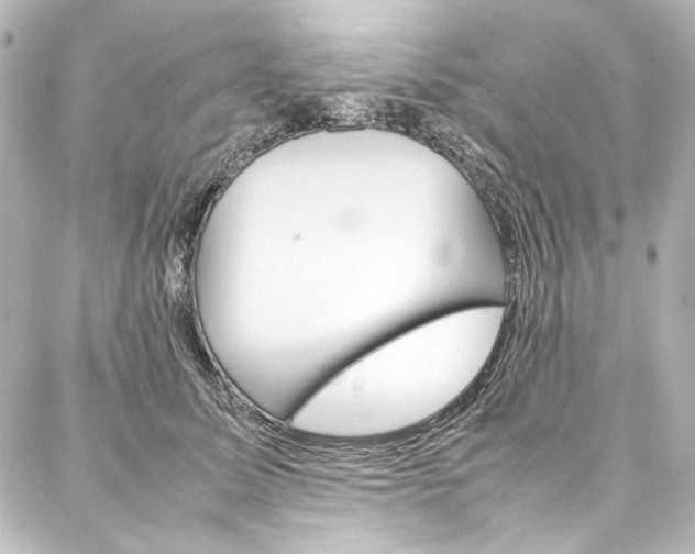 X0000088170611200705150952