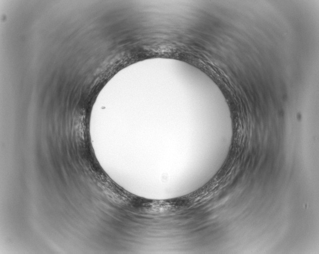 X0000088170612200705150952