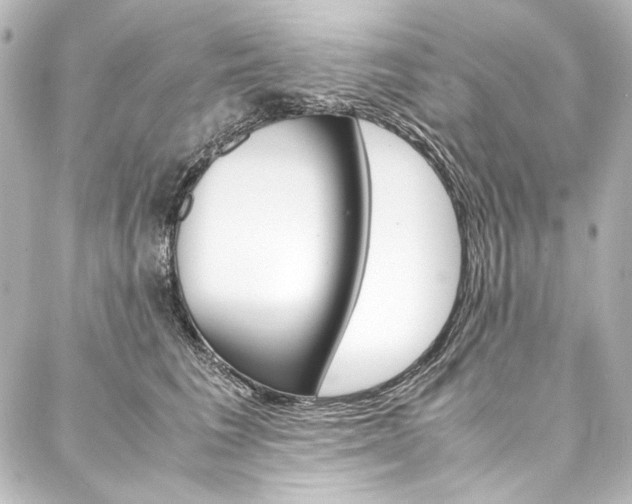 X0000088170613200705150952