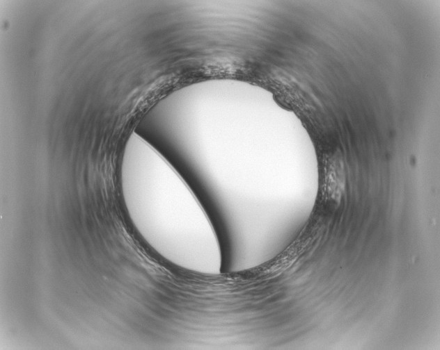 X0000088170616200705150952