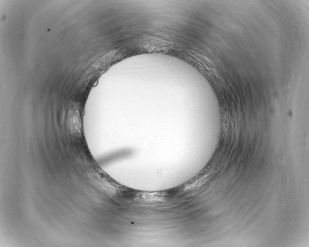 X0000088170622200705150952