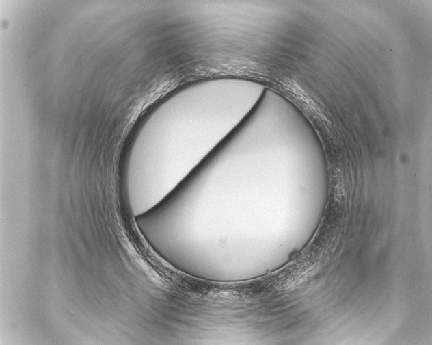 X0000088170634200705150951