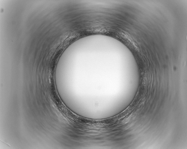 X0000088170643200705150951