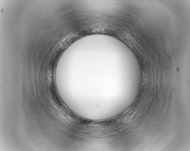 X0000088170648200705150951