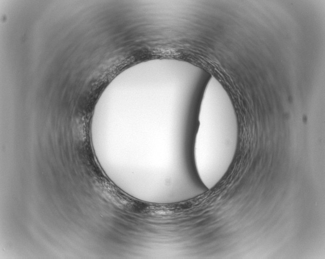 X0000088170658200705150952