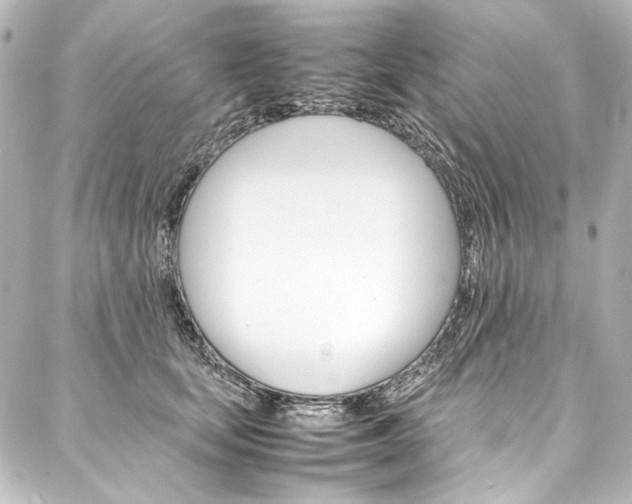 X0000088170659200705150952