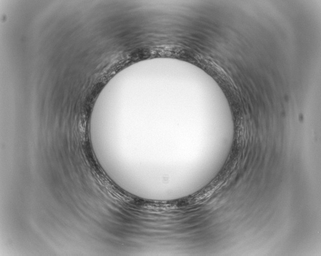X0000088170661200705150952