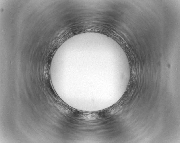 X0000088170663200705150952