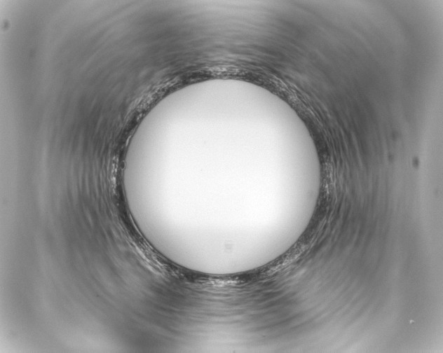X0000088170664200705150952