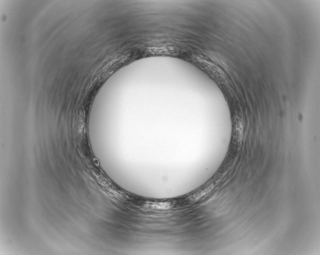 X0000088170665200705150952