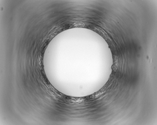 X0000088170667200705150952