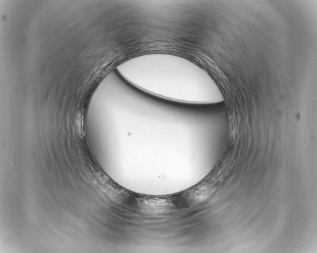 X0000088170669200705150952
