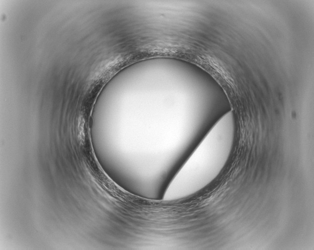 X0000088170692200705150951