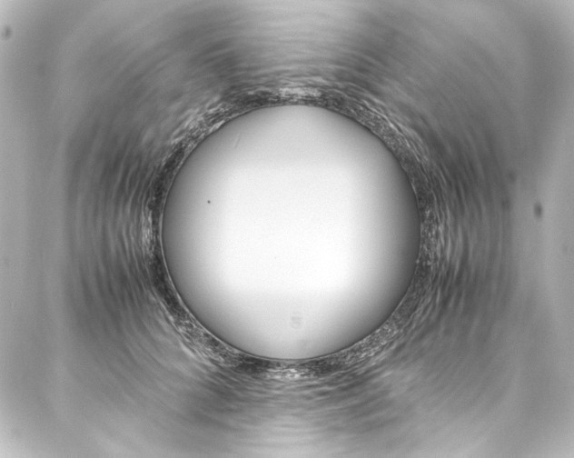 X0000088170704200705150951