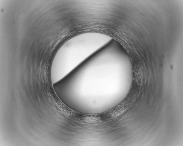 X0000088170708200705150951