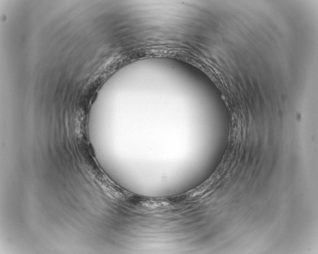 X0000088170712200705150950
