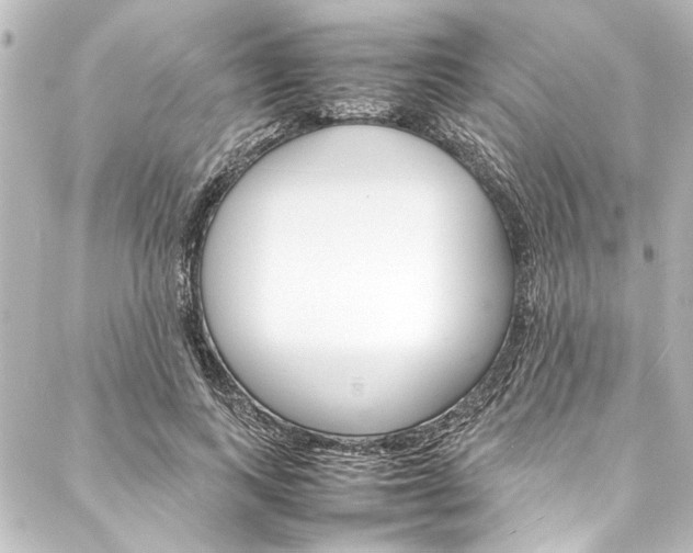 X0000088170743200705150950