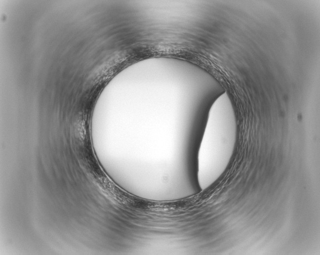 X0000088170746200705150950