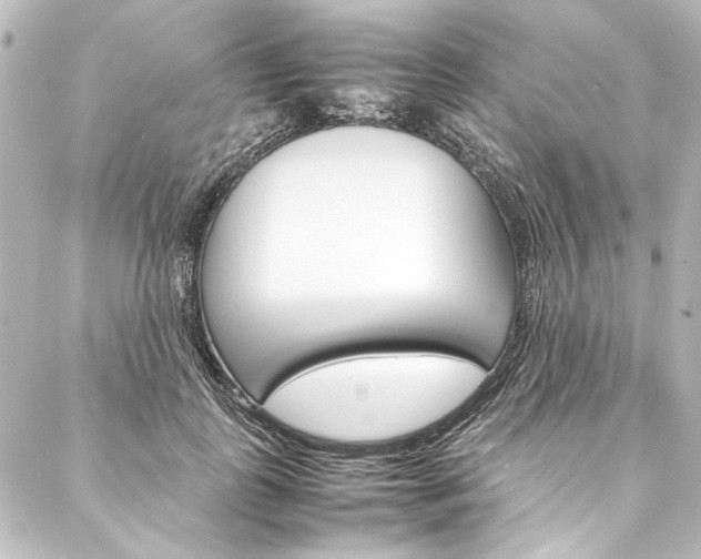 X0000088170747200705150950