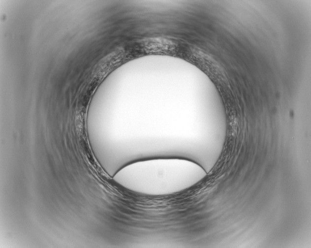 X0000088170753200705150950