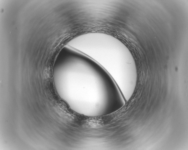 X0000088170756200705150950