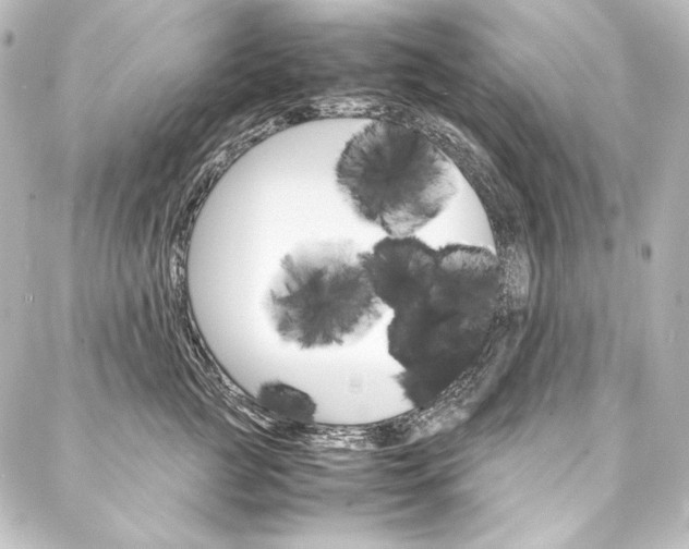 X0000088170761200705150950