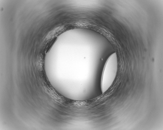 X0000088170762200705150950