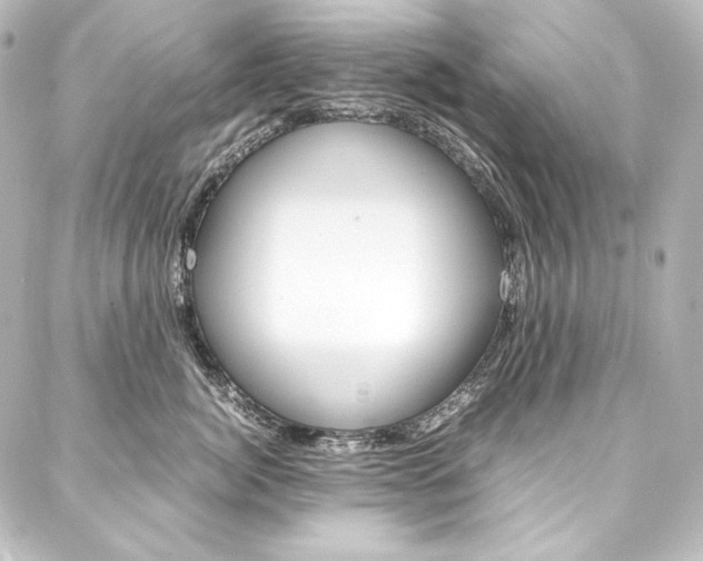 X0000088170764200705150950