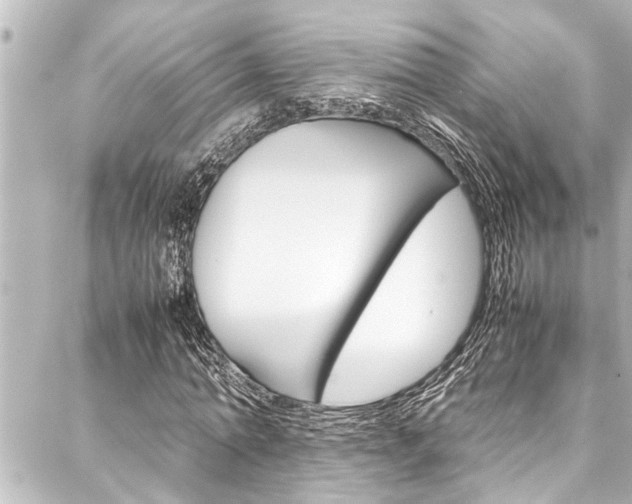 X0000088170774200705150949